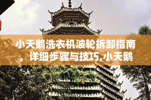 小天鹅洗衣机波轮拆卸指南，详细步骤与技巧,小天鹅洗衣机波轮怎么拆