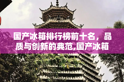 国产冰箱排行榜前十名，品质与创新的典范,国产冰箱排行榜前十名