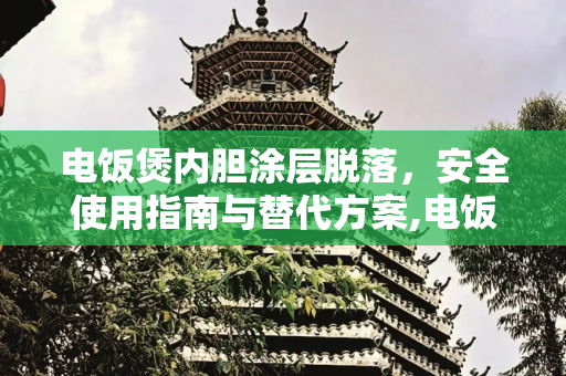 电饭煲内胆涂层脱落，安全使用指南与替代方案,电饭煲内胆涂层掉了还能用吗
