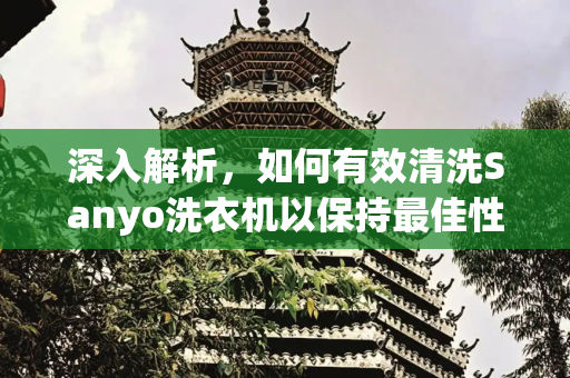 深入解析，如何有效清洗Sanyo洗衣机以保持最佳性能,sanyo洗衣机清洗
