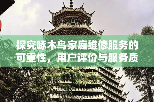 探究啄木鸟家庭维修服务的可靠性，用户评价与服务质量分析,啄木鸟家庭维修靠谱吗