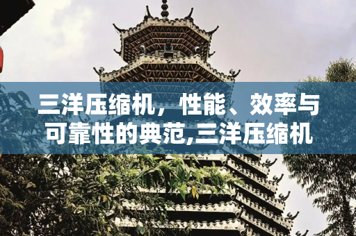 三洋压缩机，性能、效率与可靠性的典范,三洋压缩机怎么样