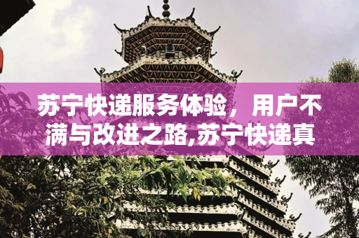 苏宁快递服务体验，用户不满与改进之路,苏宁快递真垃圾