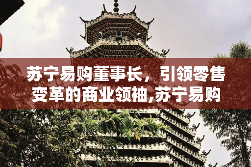 苏宁易购董事长，引领零售变革的商业领袖,苏宁易购董事长简介