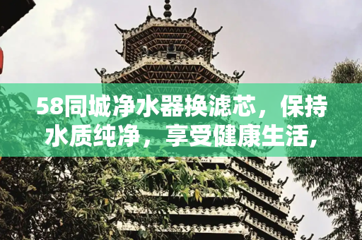 58同城净水器换滤芯，保持水质纯净，享受健康生活,58同城净水器换滤芯