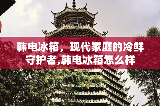 韩电冰箱，现代家庭的冷鲜守护者,韩电冰箱怎么样