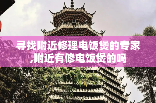 寻找附近修理电饭煲的专家,附近有修电饭煲的吗