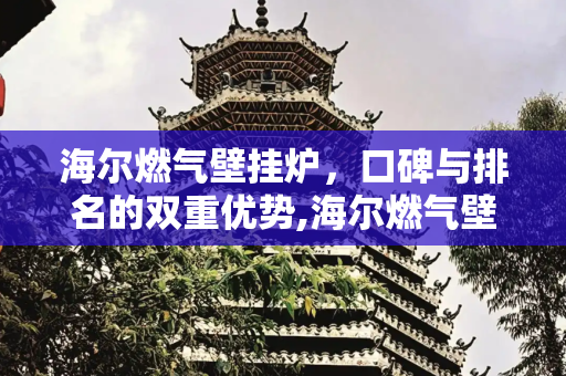 海尔燃气壁挂炉，口碑与排名的双重优势,海尔燃气壁挂炉口碑排名