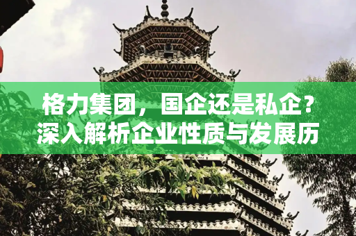 格力集团，国企还是私企？深入解析企业性质与发展历程,格力集团是国企还是私企