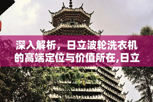 深入解析，日立波轮洗衣机的高端定位与价值所在,日立波轮洗衣机为什么那么贵