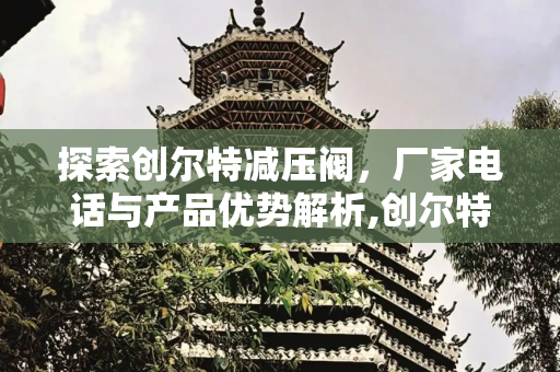 探索创尔特减压阀，厂家电话与产品优势解析,创尔特减压阀厂家电话