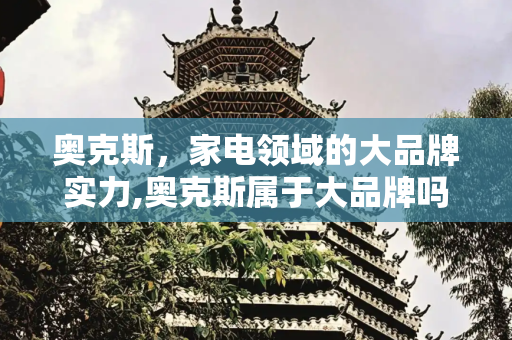 奥克斯，家电领域的大品牌实力,奥克斯属于大品牌吗