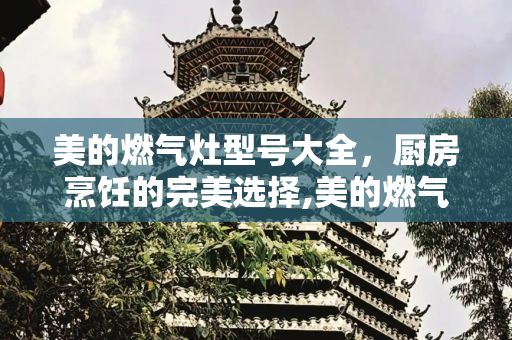 美的燃气灶型号大全，厨房烹饪的完美选择,美的燃气灶型号大全