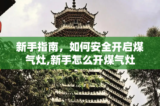 新手指南，如何安全开启煤气灶,新手怎么开煤气灶