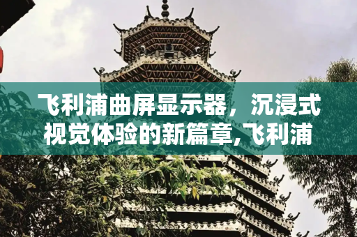 飞利浦曲屏显示器，沉浸式视觉体验的新篇章,飞利浦曲屏显示器