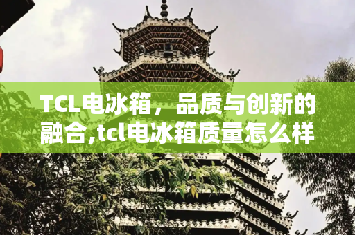 TCL电冰箱，品质与创新的融合,tcl电冰箱质量怎么样