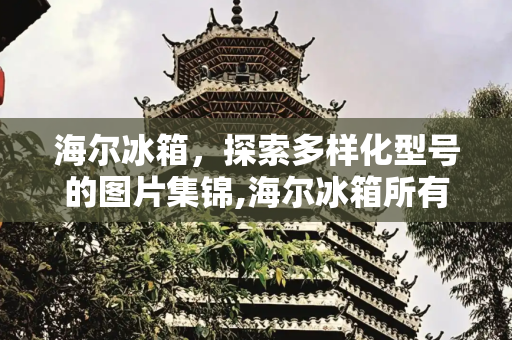海尔冰箱，探索多样化型号的图片集锦,海尔冰箱所有型号的图片