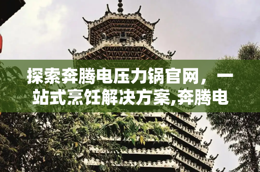 探索奔腾电压力锅官网，一站式烹饪解决方案,奔腾电压力锅官网