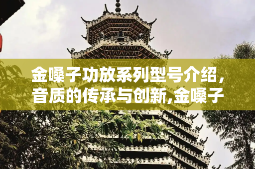 金嗓子功放系列型号介绍，音质的传承与创新,金嗓子功放系列型号介绍
