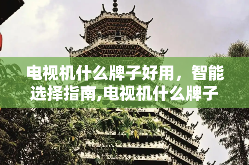 电视机什么牌子好用，智能选择指南,电视机什么牌子好用