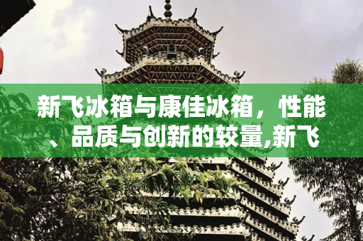 新飞冰箱与康佳冰箱，性能、品质与创新的较量,新飞冰箱好还是康佳冰箱好