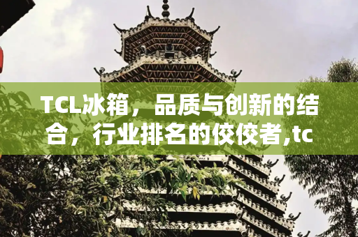 TCL冰箱，品质与创新的结合，行业排名的佼佼者,tcl冰箱质量排名第几