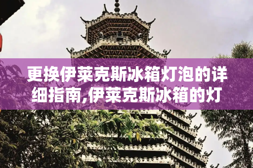 更换伊莱克斯冰箱灯泡的详细指南,伊莱克斯冰箱的灯泡怎么换