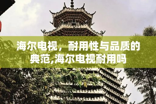 海尔电视，耐用性与品质的典范,海尔电视耐用吗