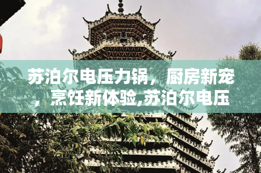 苏泊尔电压力锅，厨房新宠，烹饪新体验,苏泊尔电压力锅评价