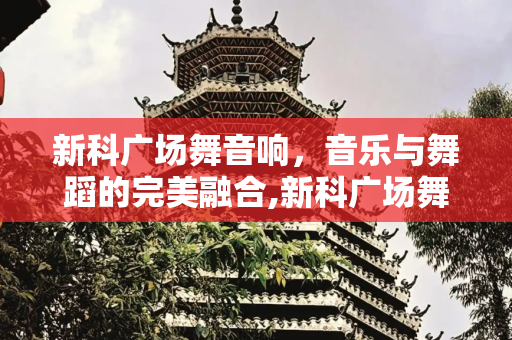 新科广场舞音响，音乐与舞蹈的完美融合,新科广场舞音响