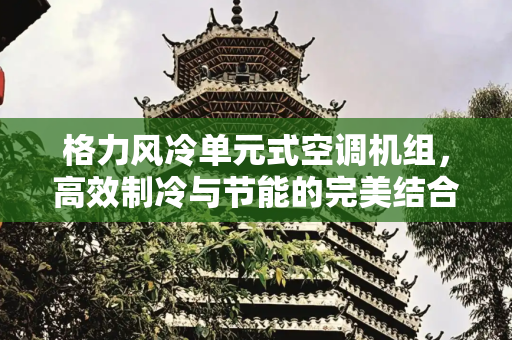 格力风冷单元式空调机组，高效制冷与节能的完美结合,格力风冷单元式空调机组