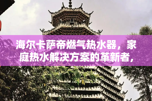 海尔卡萨帝燃气热水器，家庭热水解决方案的革新者,海尔卡萨帝燃气热水器