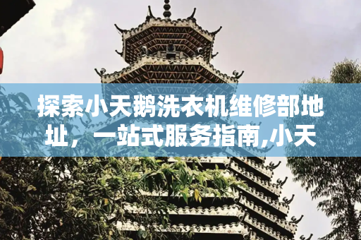 探索小天鹅洗衣机维修部地址，一站式服务指南,小天鹅洗衣机维修部地址