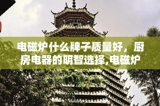 电磁炉什么牌子质量好，厨房电器的明智选择,电磁炉什么牌子质量好
