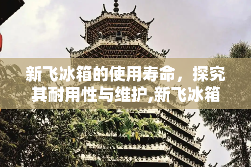 新飞冰箱的使用寿命，探究其耐用性与维护,新飞冰箱寿命一般多久