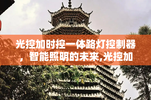 光控加时控一体路灯控制器，智能照明的未来,光控加时控一体路灯控制器