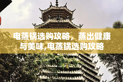 电蒸锅选购攻略，蒸出健康与美味,电蒸锅选购攻略