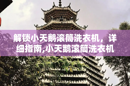 解锁小天鹅滚筒洗衣机，详细指南,小天鹅滚筒洗衣机锁住了怎么解锁