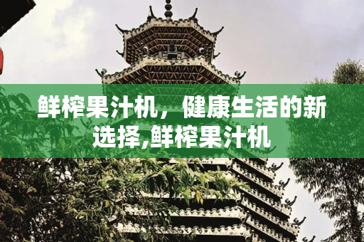 鲜榨果汁机，健康生活的新选择,鲜榨果汁机