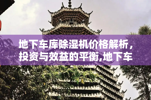 地下车库除湿机价格解析，投资与效益的平衡,地下车库除湿机价格