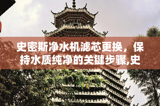 史密斯净水机滤芯更换，保持水质纯净的关键步骤,史密斯净水机滤芯更换