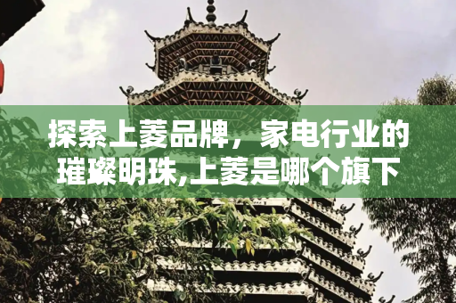 探索上菱品牌，家电行业的璀璨明珠,上菱是哪个旗下品牌