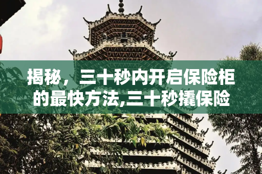 揭秘，三十秒内开启保险柜的最快方法,三十秒撬保险柜最快方法