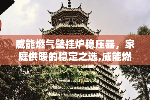 威能燃气壁挂炉稳压器，家庭供暖的稳定之选,威能燃气壁挂炉稳压器