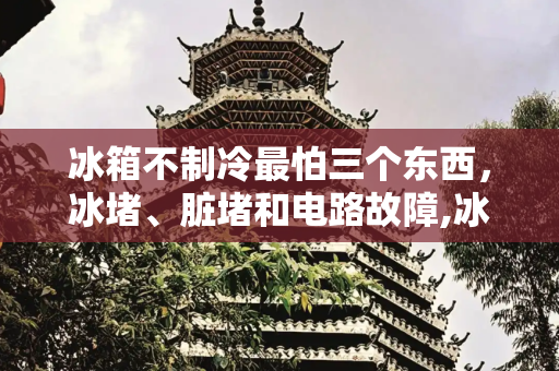 冰箱不制冷最怕三个东西，冰堵、脏堵和电路故障,冰箱不制冷最怕三个东西