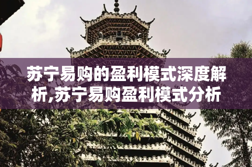 苏宁易购的盈利模式深度解析,苏宁易购盈利模式分析