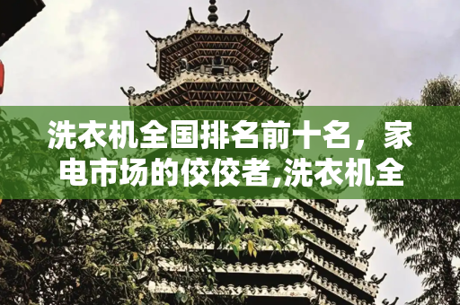 洗衣机全国排名前十名，家电市场的佼佼者,洗衣机全国排名前十名