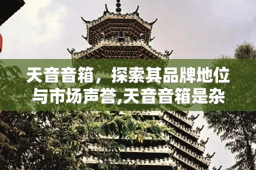 天音音箱，探索其品牌地位与市场声誉,天音音箱是杂牌子还是名牌