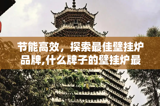 节能高效，探索最佳壁挂炉品牌,什么牌子的壁挂炉最好而且还省气