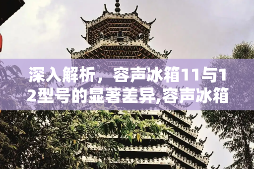 深入解析，容声冰箱11与12型号的显著差异,容声冰箱11和12区别是什么